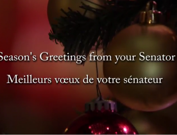 Merry Christmas! Happy Holidays!